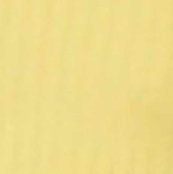 Womens plus sz 2xl Yellow Ribbed Camisole tank top Nwtgs - Picture 3 of 4